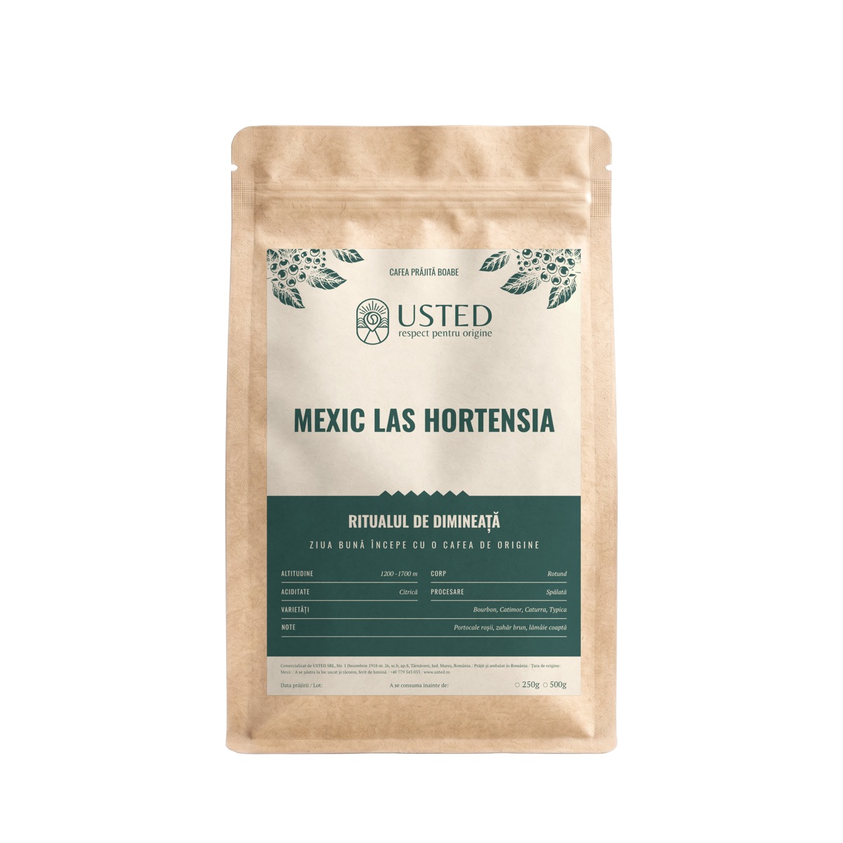 Mexic Las Hortensia